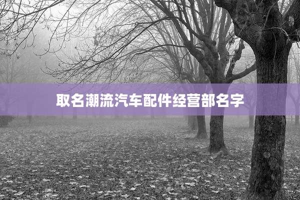 取名潮流汽车配件经营部名字