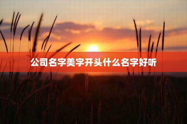 公司名字美字开头什么名字好听