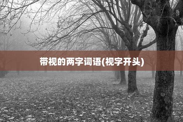 带视的两字词语(视字开头)