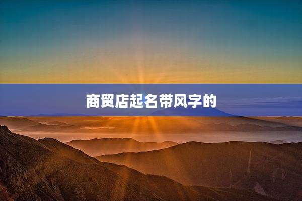 商贸店起名带风字的