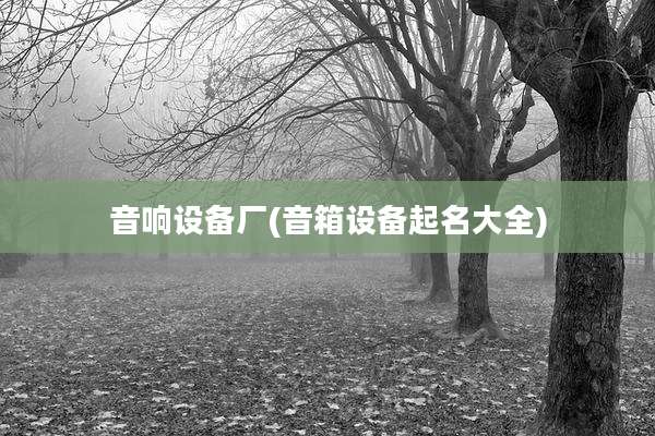 音响设备厂(音箱设备起名大全)