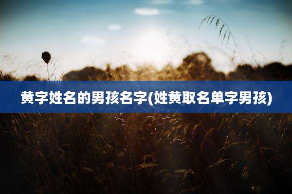 黄字姓名的男孩名字(姓黄取名单字男孩)