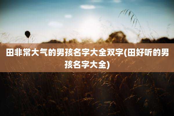 田非常大气的男孩名字大全双字(田好听的男孩名字大全)