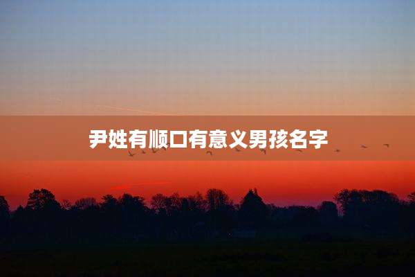 尹姓有顺口有意义男孩名字