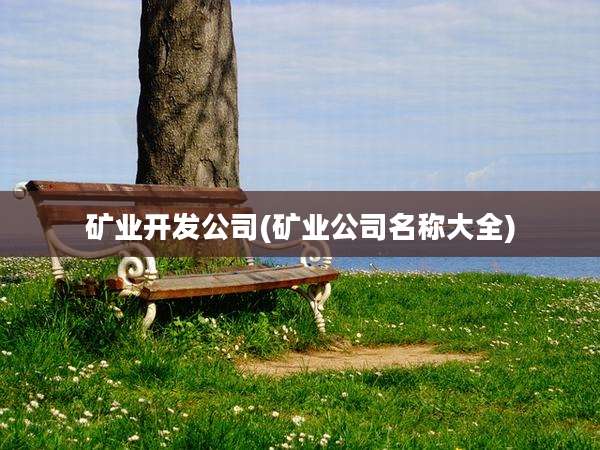 矿业开发公司(矿业公司名称大全)