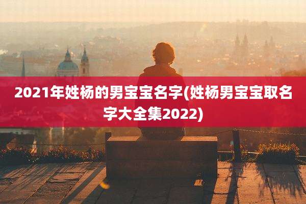 2021年姓杨的男宝宝名字(姓杨男宝宝取名字大全集2022)