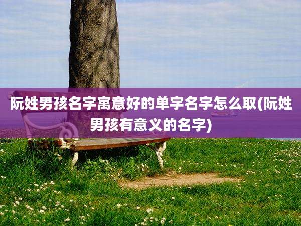 阮姓男孩名字寓意好的单字名字怎么取(阮姓男孩有意义的名字)