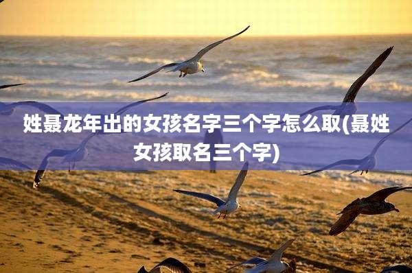 姓聂龙年出的女孩名字三个字怎么取(聂姓女孩取名三个字)