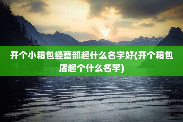 开个小箱包经营部起什么名字好(开个箱包店起个什么名字)