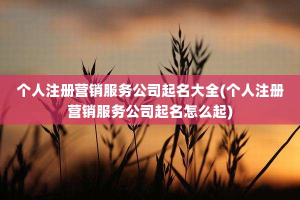 个人注册营销服务公司起名大全(个人注册营销服务公司起名怎么起)