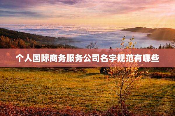个人国际商务服务公司名字规范有哪些