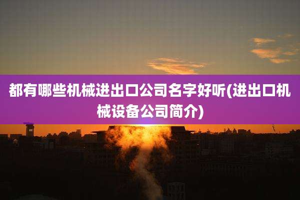 都有哪些机械进出口公司名字好听(进出口机械设备公司简介)