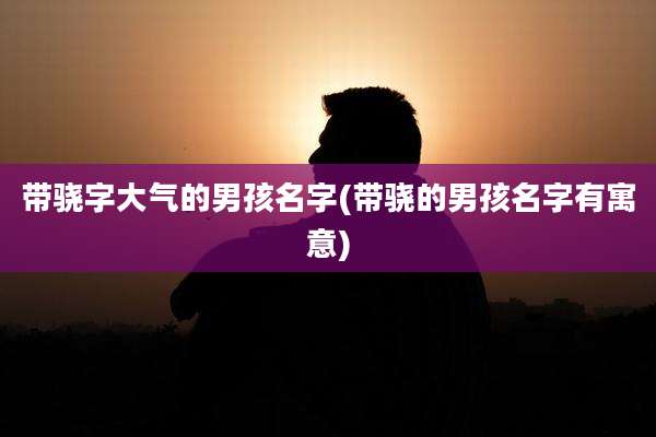 带骁字大气的男孩名字(带骁的男孩名字有寓意)