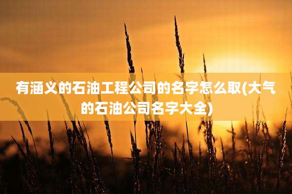 有涵义的石油工程公司的名字怎么取(大气的石油公司名字大全)