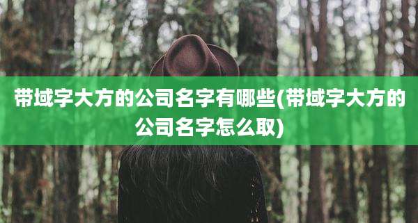 带域字大方的公司名字有哪些(带域字大方的公司名字怎么取)