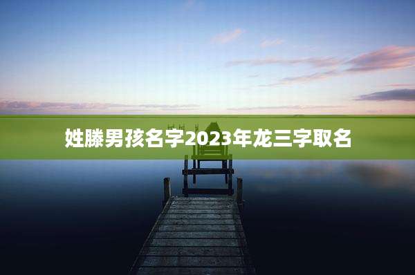 姓滕男孩名字2023年龙三字取名