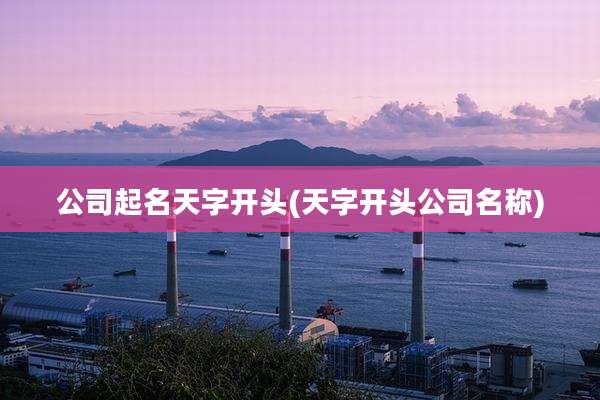 公司起名天字开头(天字开头公司名称)