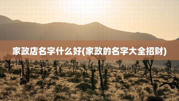 家政店名字什么好(家政的名字大全招财)