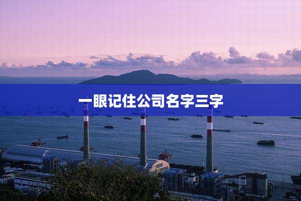 一眼记住公司名字三字