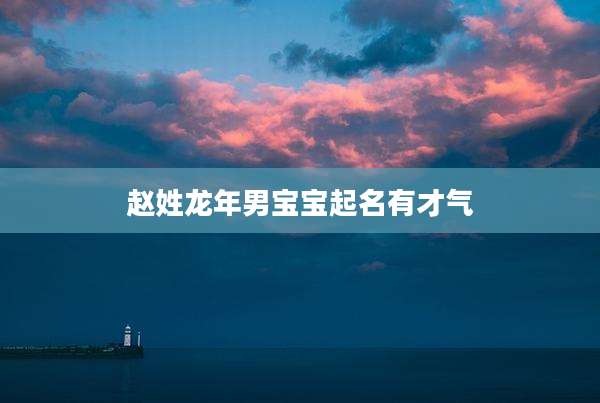 赵姓龙年男宝宝起名有才气