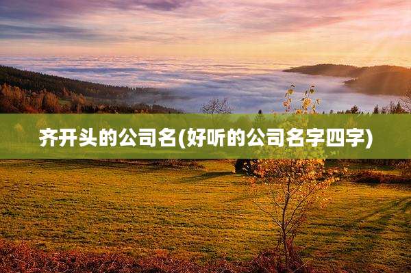 齐开头的公司名(好听的公司名字四字)