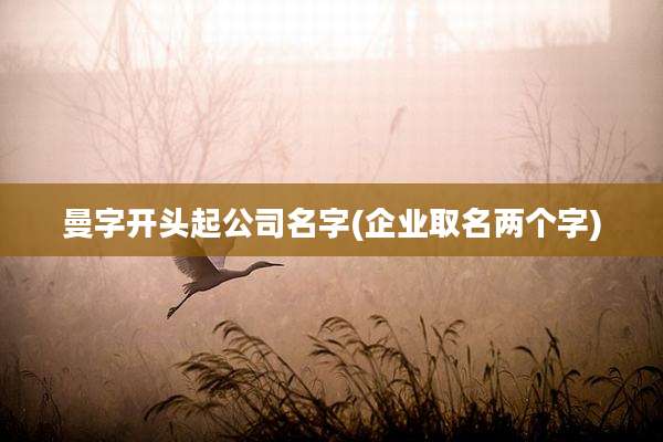 曼字开头起公司名字(企业取名两个字)