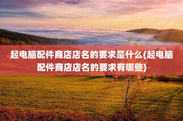 起电脑配件商店店名的要求是什么(起电脑配件商店店名的要求有哪些)