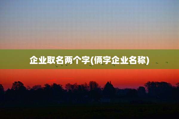 企业取名两个字(俩字企业名称)