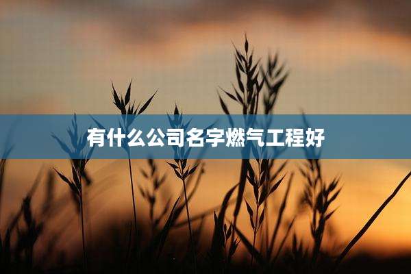 有什么公司名字燃气工程好