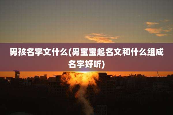 男孩名字文什么(男宝宝起名文和什么组成名字好听)