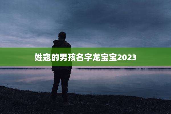 姓寇的男孩名字龙宝宝2023