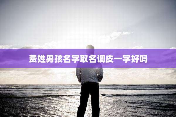 费姓男孩名字取名调皮一字好吗