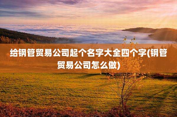 给钢管贸易公司起个名字大全四个字(钢管贸易公司怎么做)