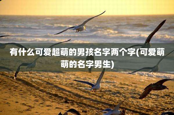 有什么可爱超萌的男孩名字两个字(可爱萌萌的名字男生)