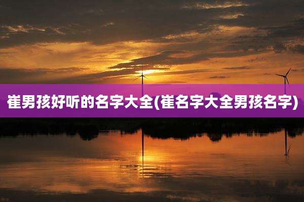 崔男孩好听的名字大全(崔名字大全男孩名字)