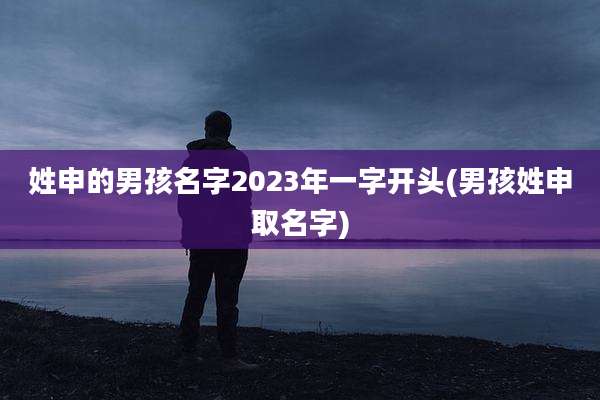 姓申的男孩名字2023年一字开头(男孩姓申取名字)