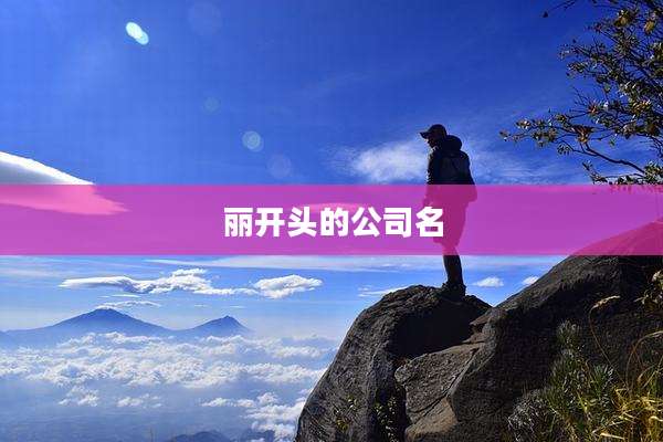 丽开头的公司名