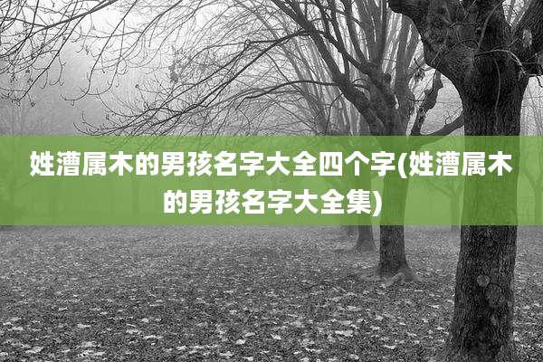 姓漕属木的男孩名字大全四个字(姓漕属木的男孩名字大全集)