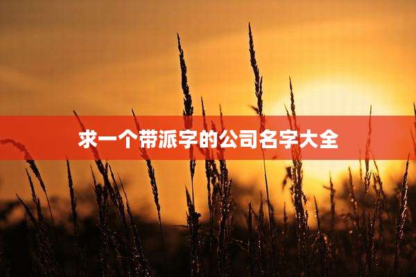 求一个带派字的公司名字大全