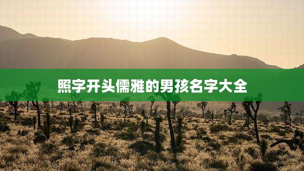 照字开头儒雅的男孩名字大全