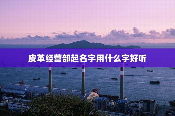 皮革经营部起名字用什么字好听