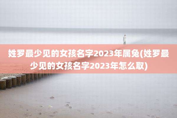 姓罗最少见的女孩名字2023年属兔(姓罗最少见的女孩名字2023年怎么取)