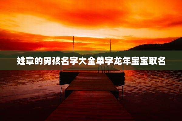 姓章的男孩名字大全单字龙年宝宝取名