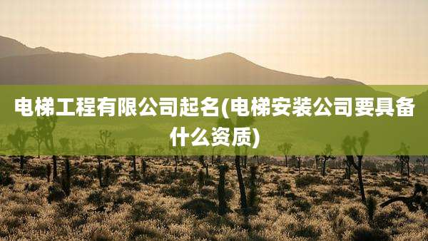 电梯工程有限公司起名(电梯安装公司要具备什么资质)