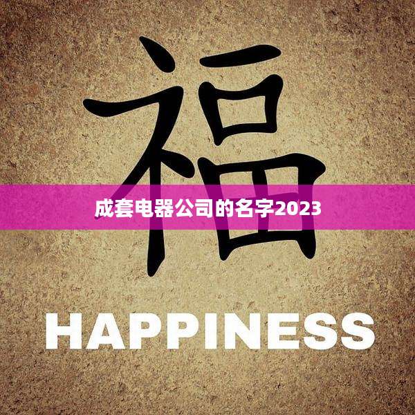 成套电器公司的名字2023
