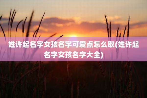 姓许起名字女孩名字可爱点怎么取(姓许起名字女孩名字大全)
