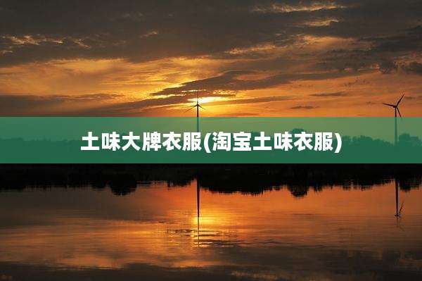 土味大牌衣服(淘宝土味衣服)