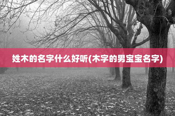 姓木的名字什么好听(木字的男宝宝名字)