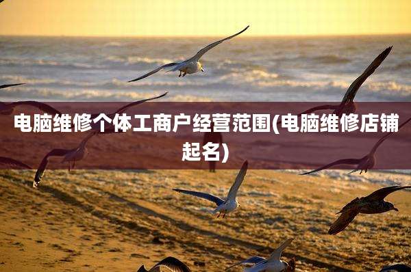 电脑维修个体工商户经营范围(电脑维修店铺起名)