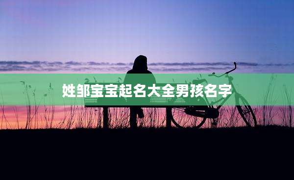 姓邹宝宝起名大全男孩名字